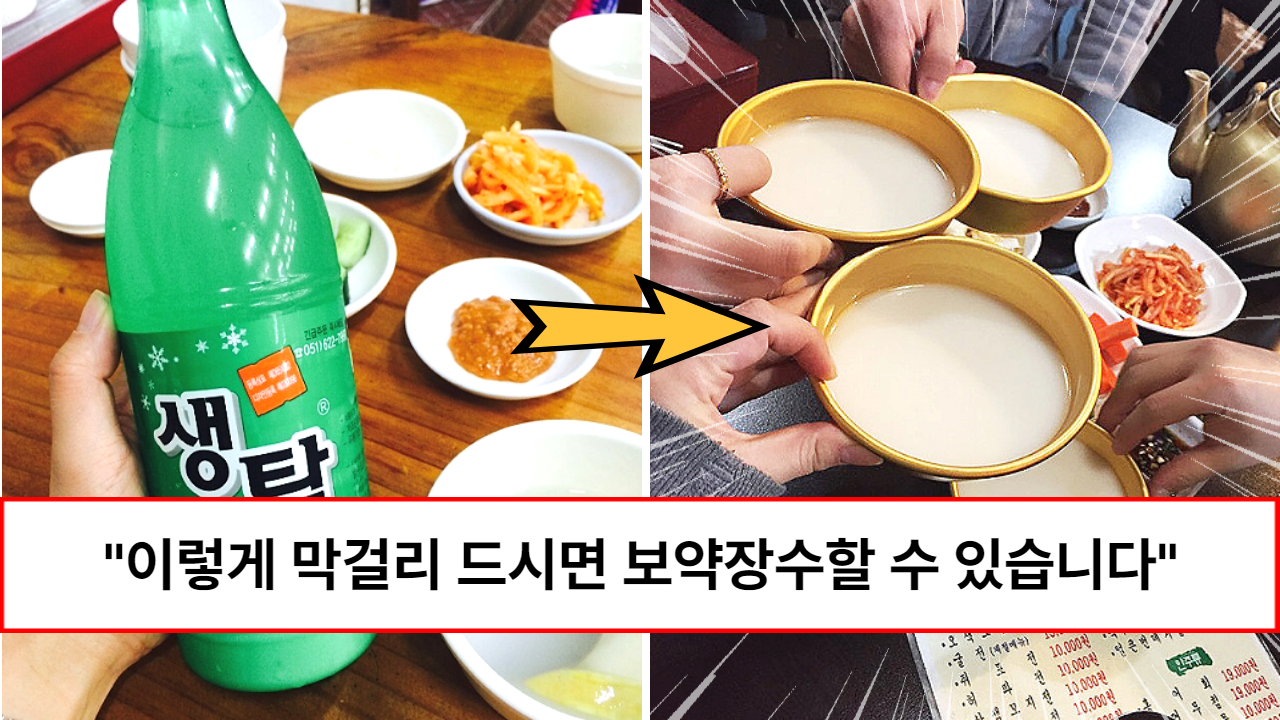 “만병통치약이 됩니다” 보약보다 좋은 2,000원 막걸리로 우리 몸에 500배 좋게 마시는 방법 (feat. 효능)