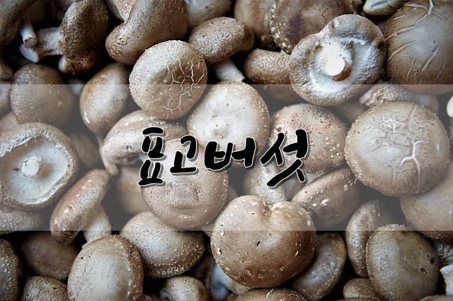  맛과 향이 좋은 표고버섯을 알아 봅시다.