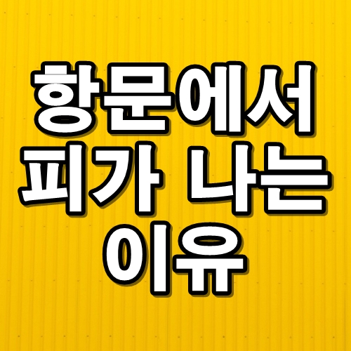 항문에서 피가 나는 이유와 치료방법
