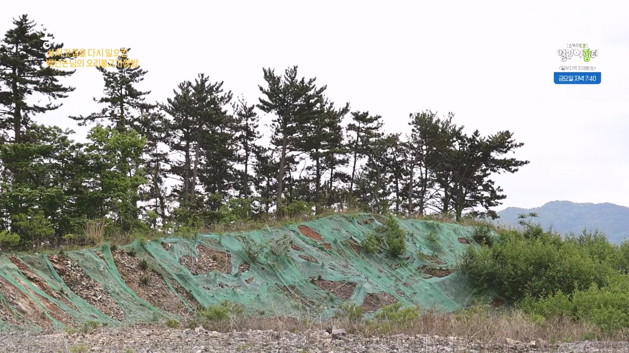 동네 한 바퀴.E273.240512p-NEXT.mp4_20240512_170029.379.jpg