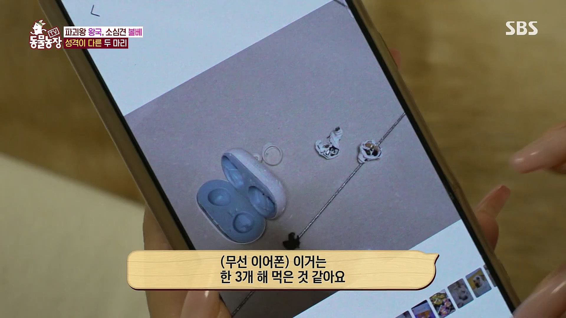 TV 동물농장.E1106.230129p.H264-F1RST.mp4_20230130_192725.842.jpg