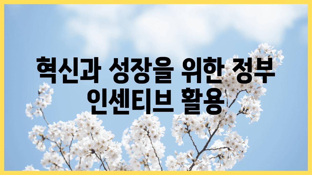 혁신과 성장을 위한 정부 인센티브 활용