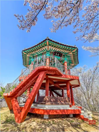 전주 완산칠봉 꽃동산 등산로 벙커 코스_8