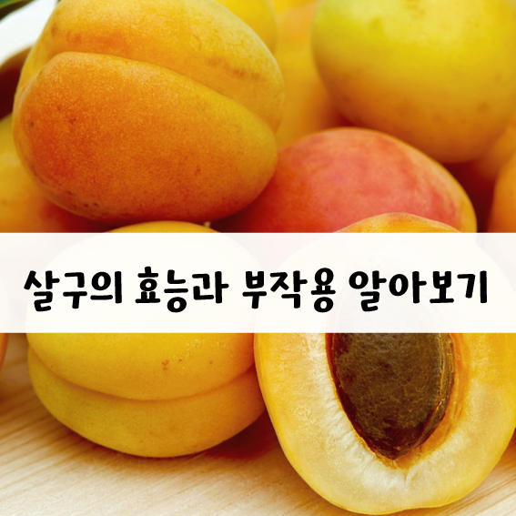 살구 효능과 부작용!