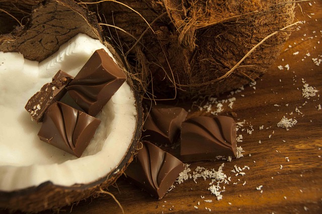 코코넛과 초콜릿