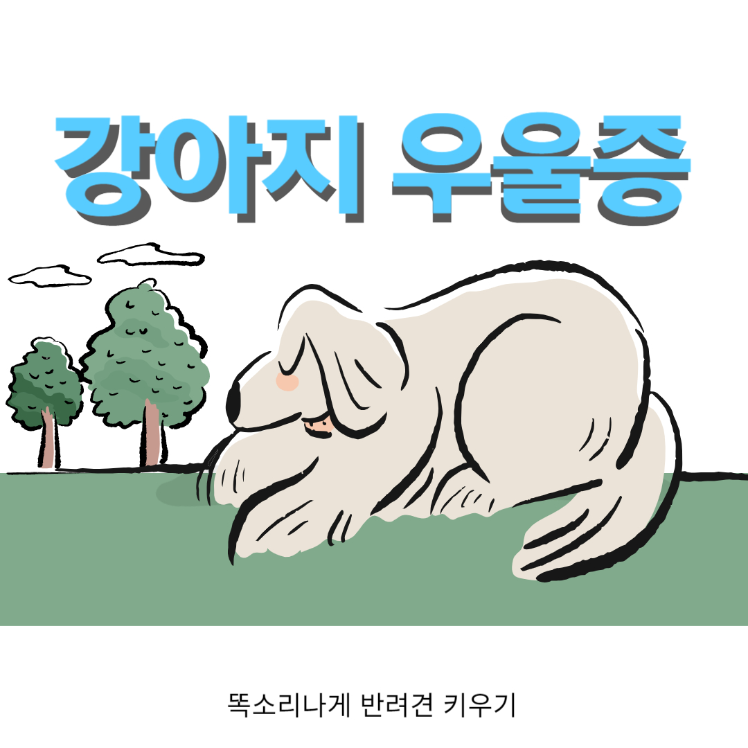 강아지 우울증 증상 대처방법