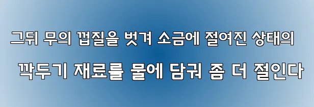 그뒤 무의 껍질을 벗겨 소금에 절여진 상태의 깍두기 재료를 물에 담궈 좀 더 절인다