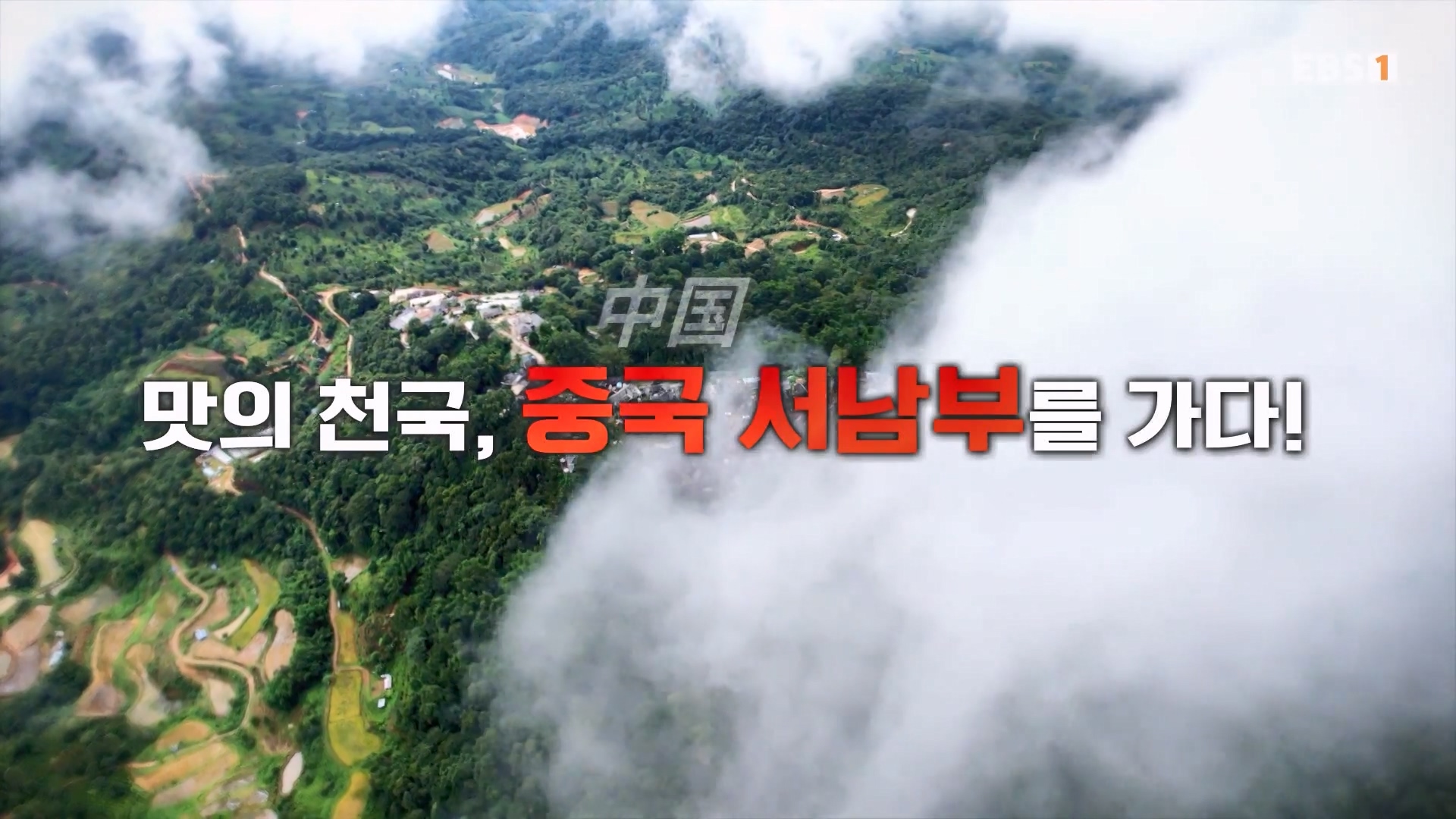 세계테마기행 231128 중국 서남부 정다운 밥상 기행 -매운맛 좀 볼까요0p.mp4_20231201_205752.254.jpg