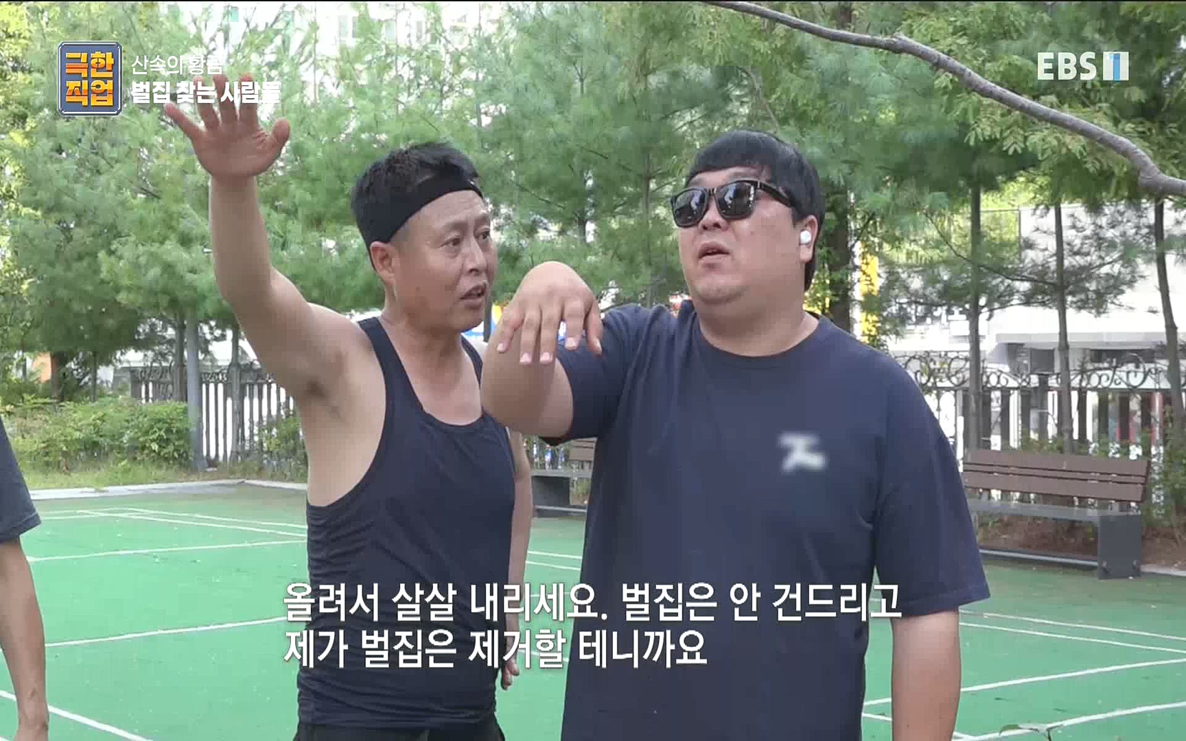 벌집 찾는 사람들.mp4_20221006_212401.006.jpg
