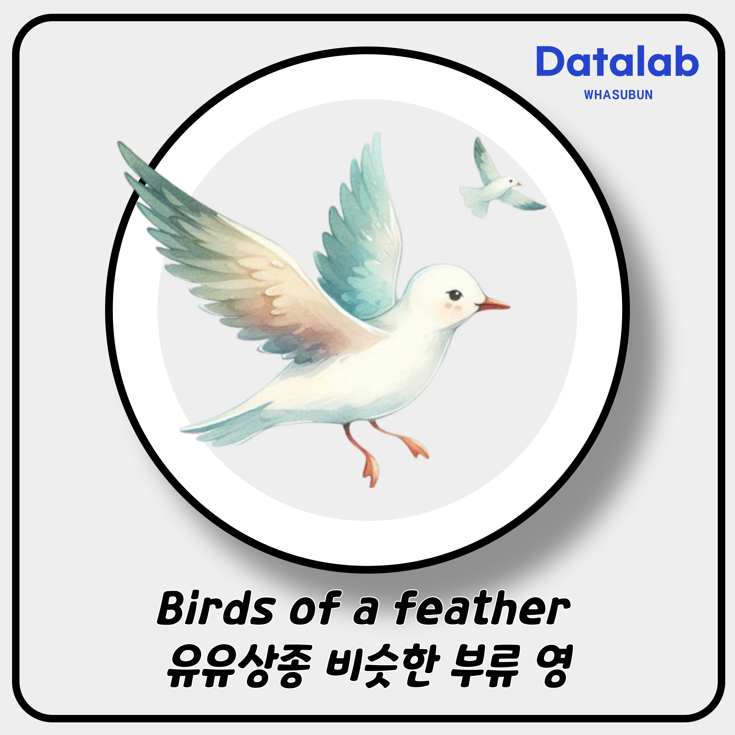Birds of a feather 유유상종 비슷한 부류 영어로