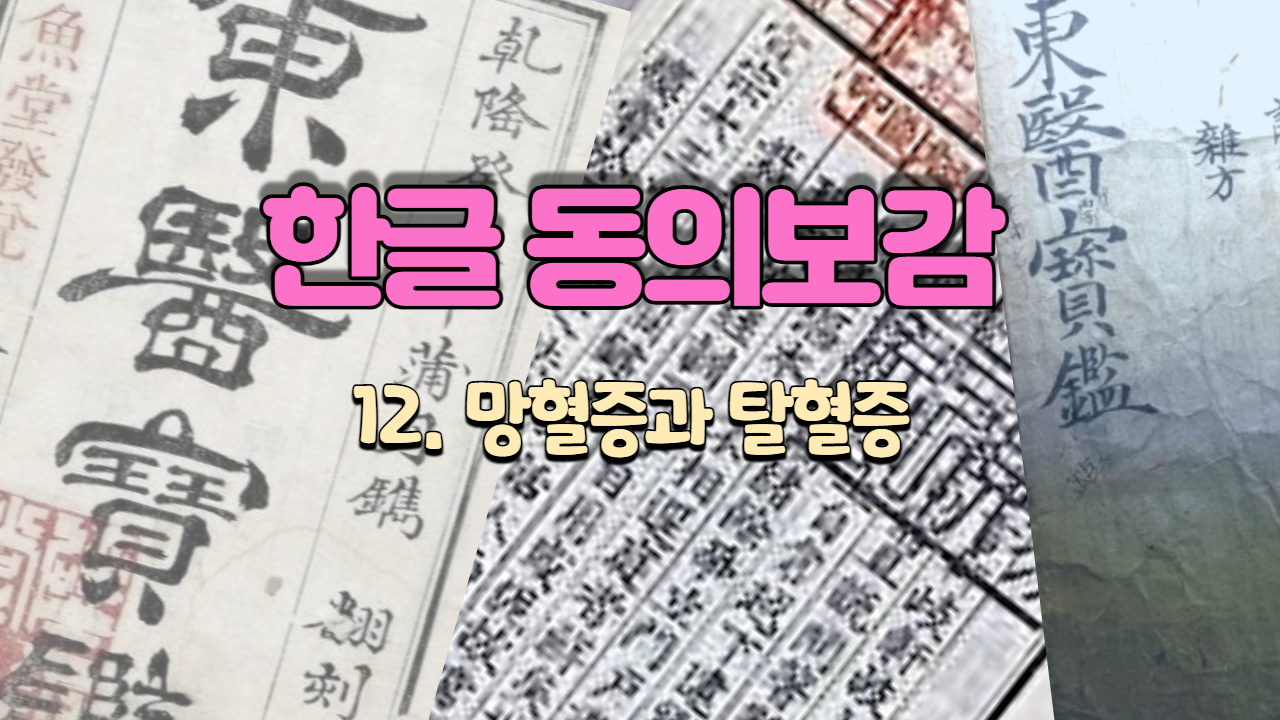  12. 망혈증과 탈혈증 ( 내경편 )