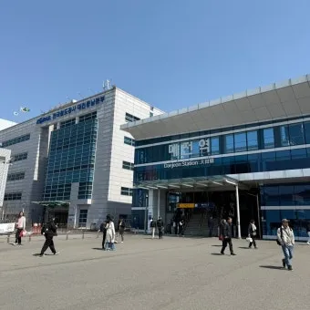 대전 가볼만한곳 베스트 10 성심당 딸기시루_13