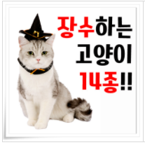  오래사는 고양이 종류에 대한 이야기