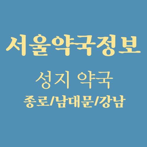  [서울] 약국 성지 추천 (ft. 종로약국, 남대문약국, 강남약국)