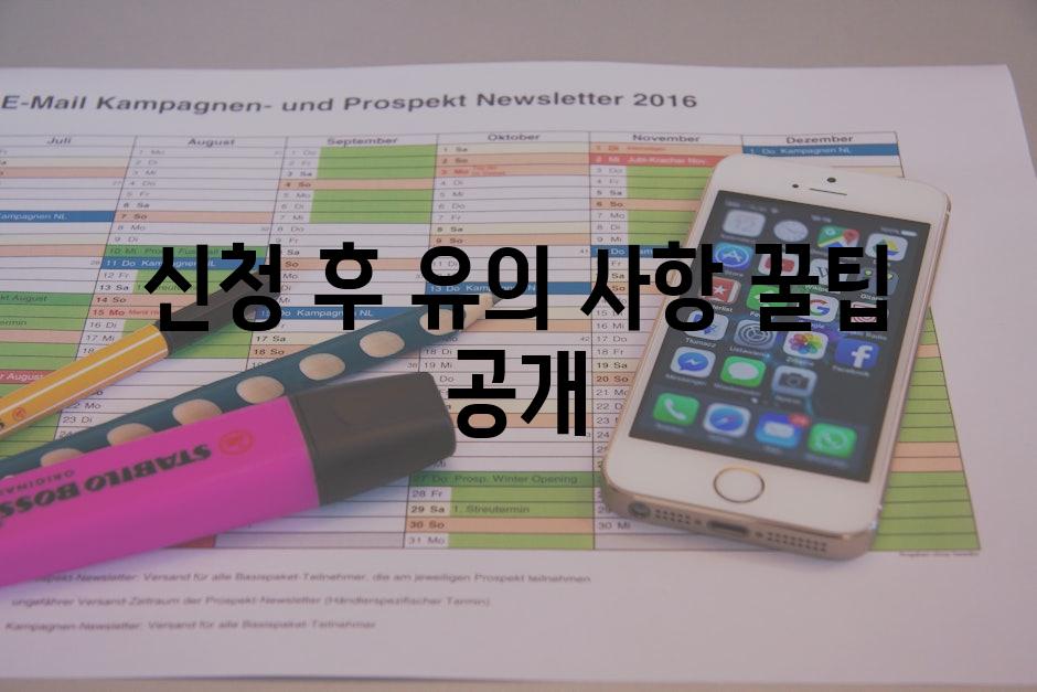 신청 후 유의 사항 꿀팁 공개
