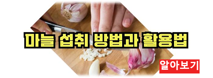 마늘 섭취 방법과 활용법 알아보기