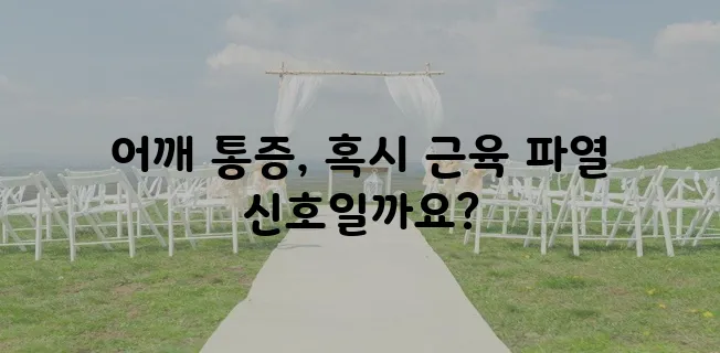 어깨 근육 파열 증상과 원인 꼼꼼히 알아봅시다!