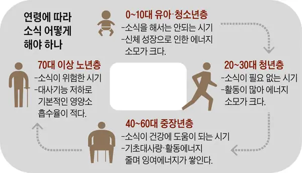 기초대사량