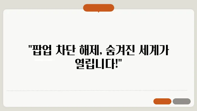팝업 차단 해제 절차