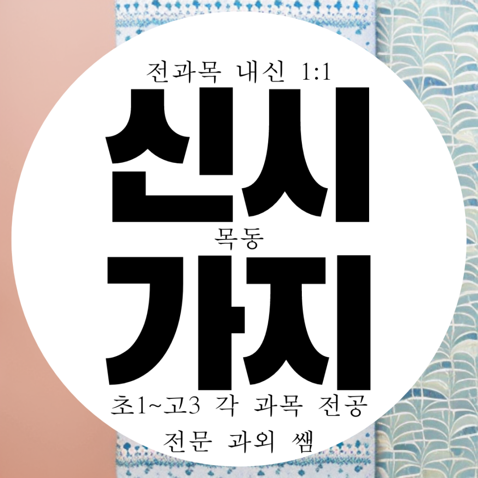  목동 14단지 신시가지 영수 고등 영어과외 중학생 중등 수학과외 국어 과학 물리 화학