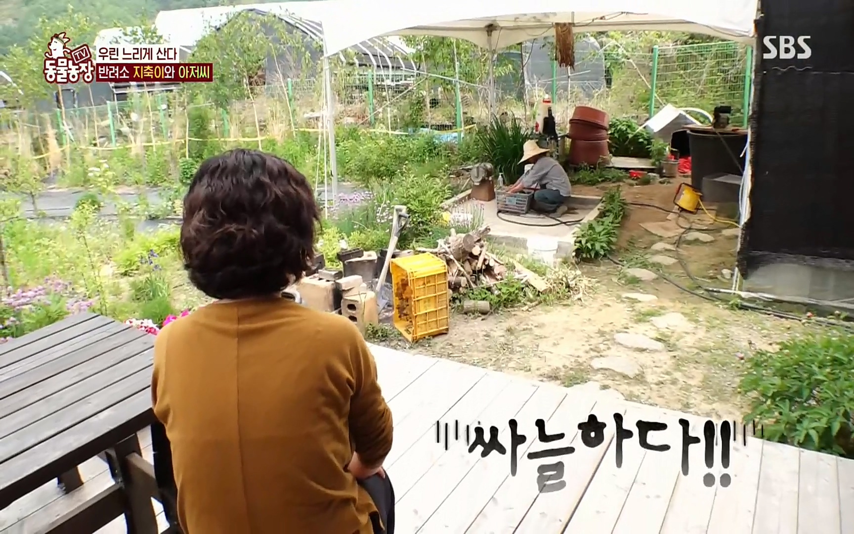 TV 동물농장.E1074.220619p.H264-F1RST.mp4_20220619_181343.565.jpg
