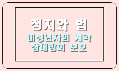  미성년자의 계약과 상대방의 보호