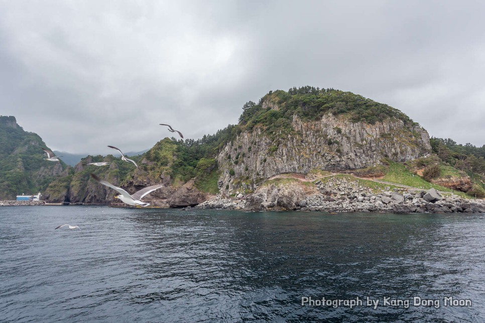 울릉도 여행 가볼만한곳 유람선 배 타기 국내 바다 추천 경북 동해안 2박3일 16