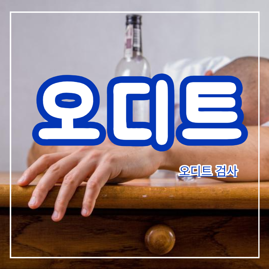 오디트