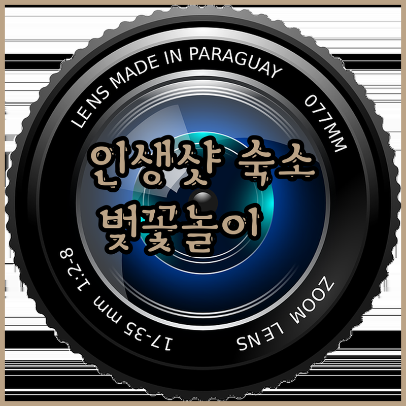 벚꽃놀이 필수 코스! 20대 여성에게
