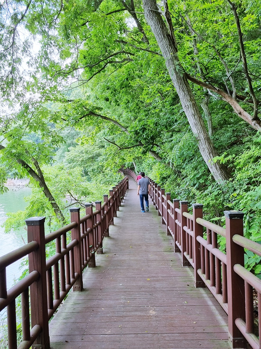 드라이브 코스와 청양농부식 탁자 충청남도 당일치기 29