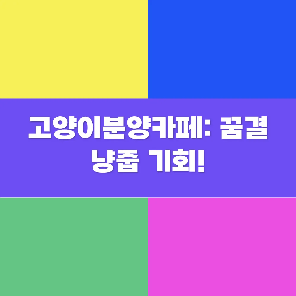 썸네일 이미지