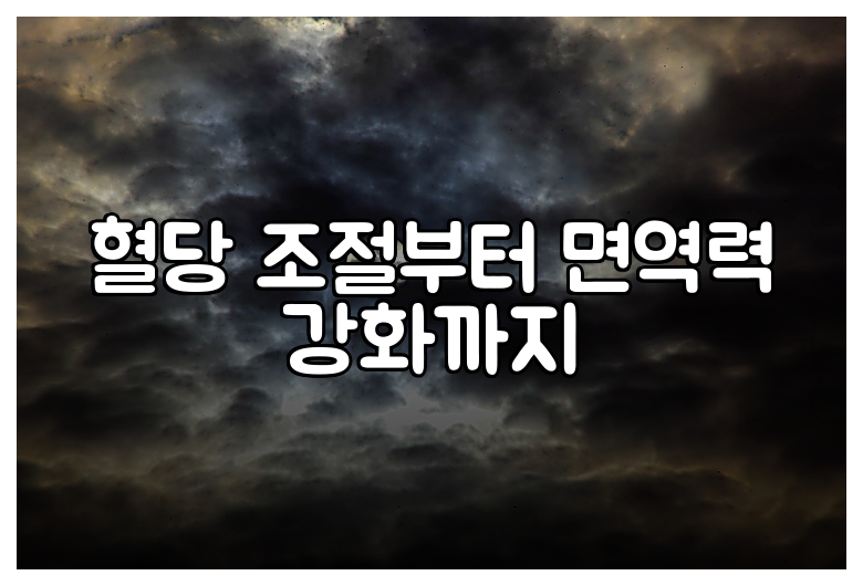 혈당 조절부터 면역력 강화까지