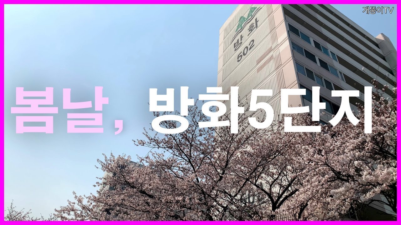  방화5단지 봄날 산책 | 방화동 | 가양6단지, 가양9단지, 스타벅스 마곡나루공원점