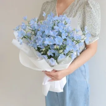 예쁜 꽃말 추천 모음 이해할수록 매력적인 꽃들의 꽃말 안내 모음_16