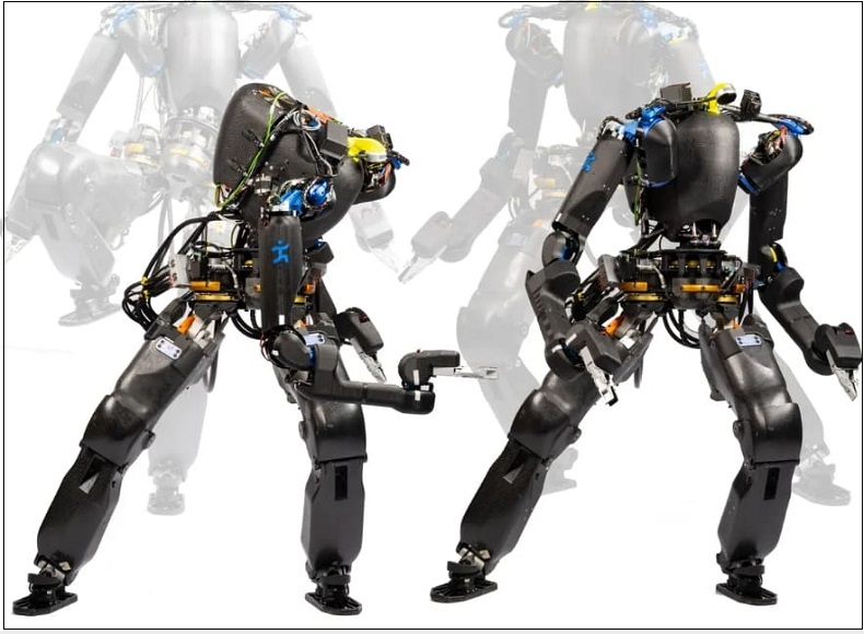 휴머노이드 로봇 제작 기술 VIDEO: Nadia - A Next Generation Humanoid Robot