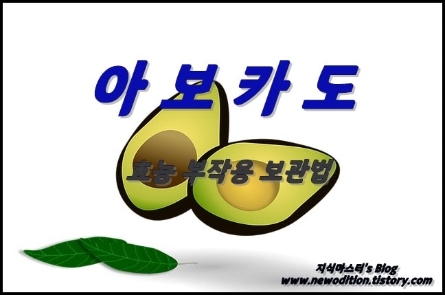 아보카도 효능 부작용 보관법 썸네일 입니다