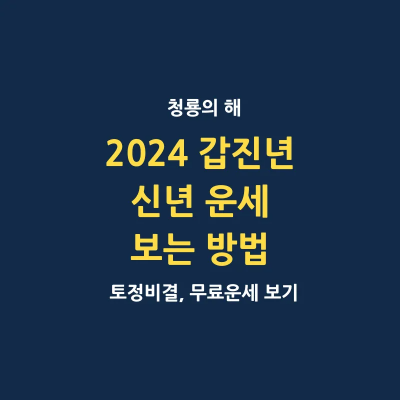 2024년 갑진년 청룡의 해 신년 운세 보는 방법