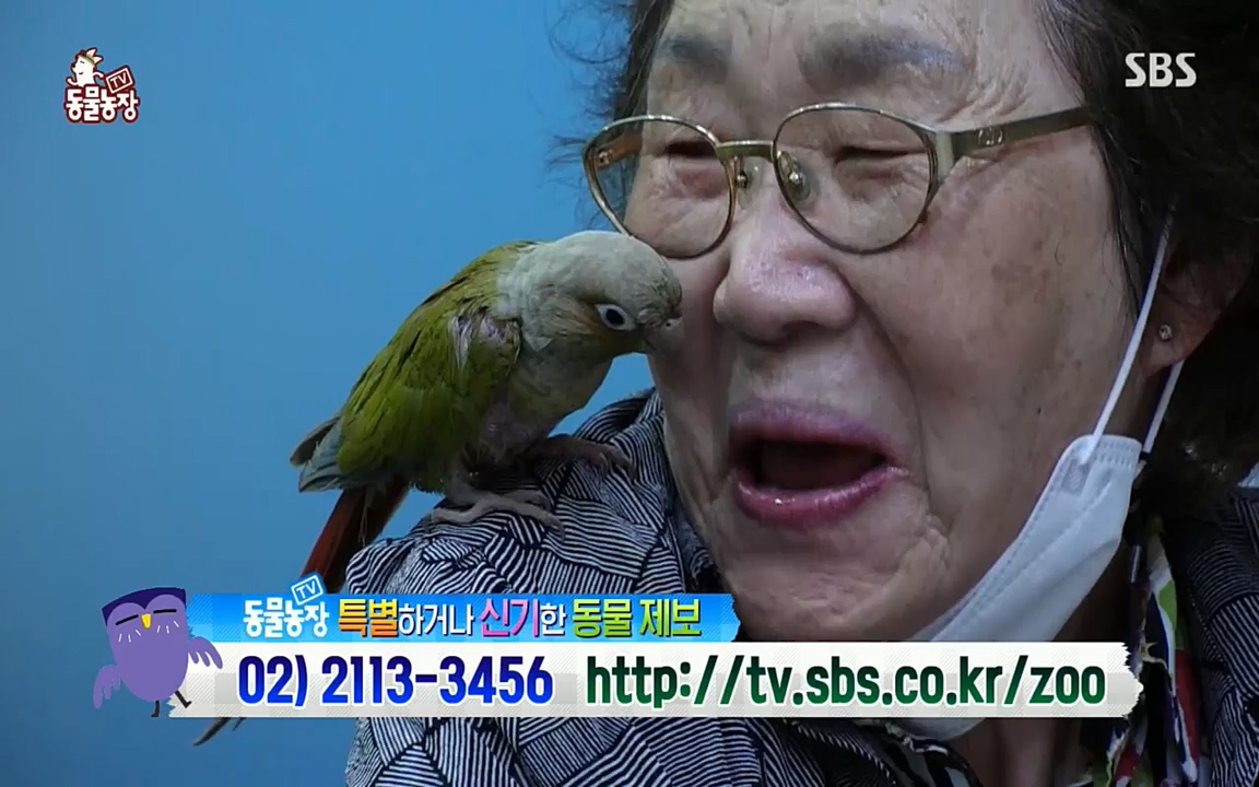 TV 동물농장.E1076.220704p.H264-F1RST.mp4_20220703_175605.229.jpg