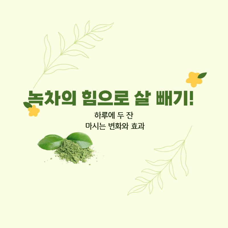  녹차의 힘으로 살 빼기! 하루에 두 잔 마시는 변화와 효과