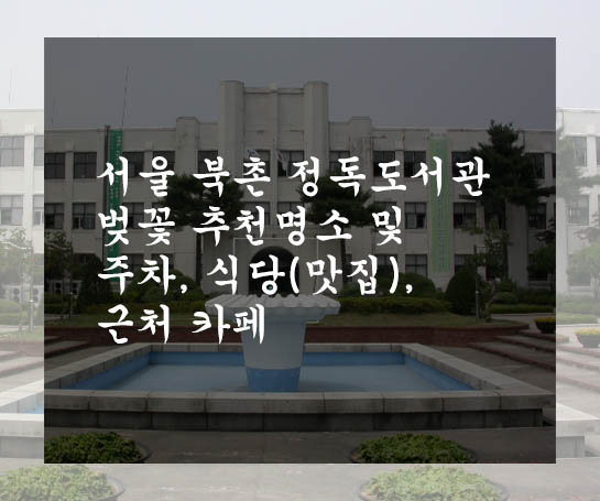  서울 북촌 정독도서관 벚꽃 추천명소 및 주차, 식당(맛집), 근처 카페