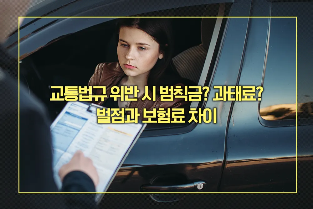 교통법규 위반 시 범칙금과 과태료 벌점과 보험료 차이