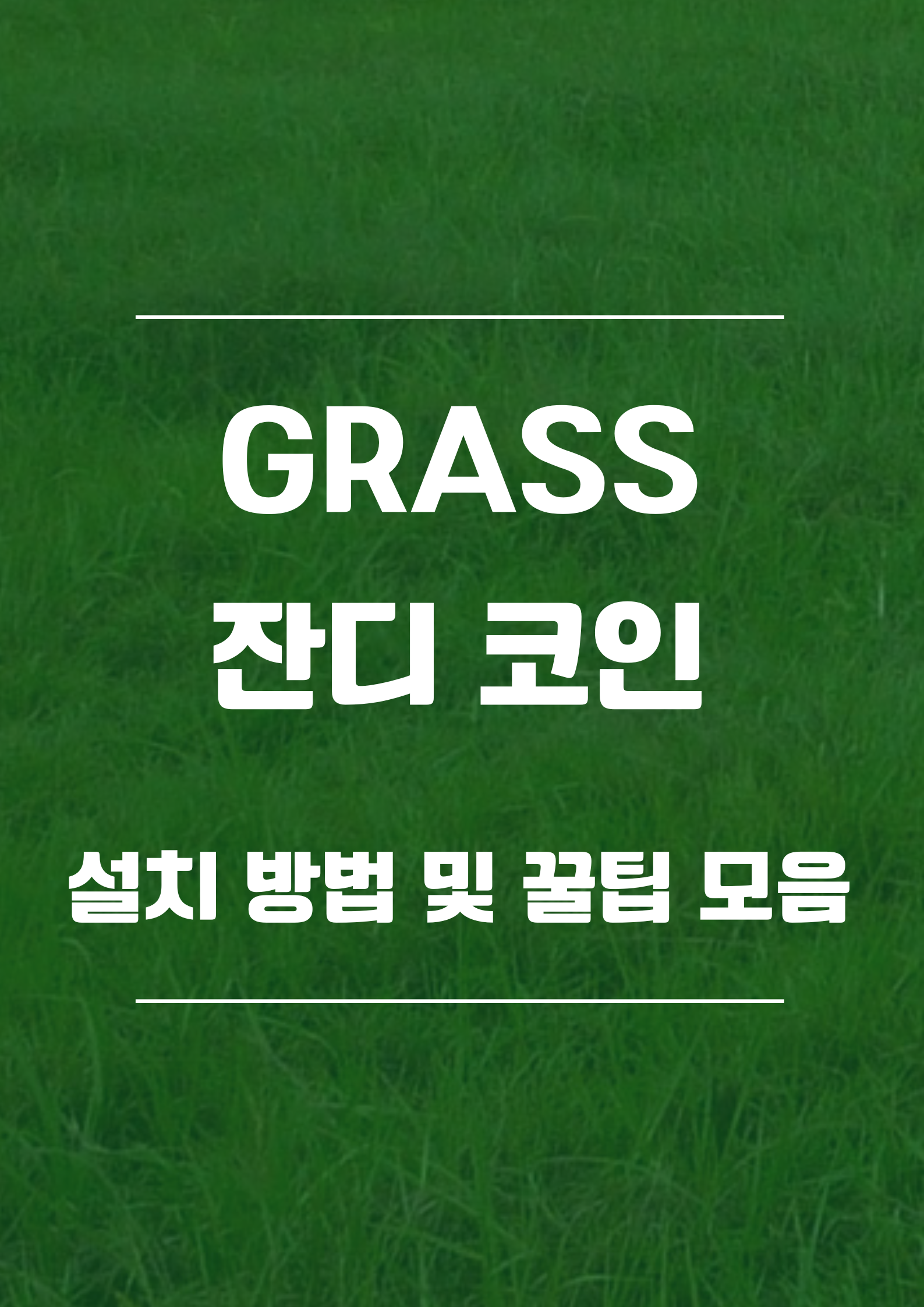  [무료 채굴] GRASS 잔디 코인 채굴 방법 및 꿀팁 대방출 !!!
