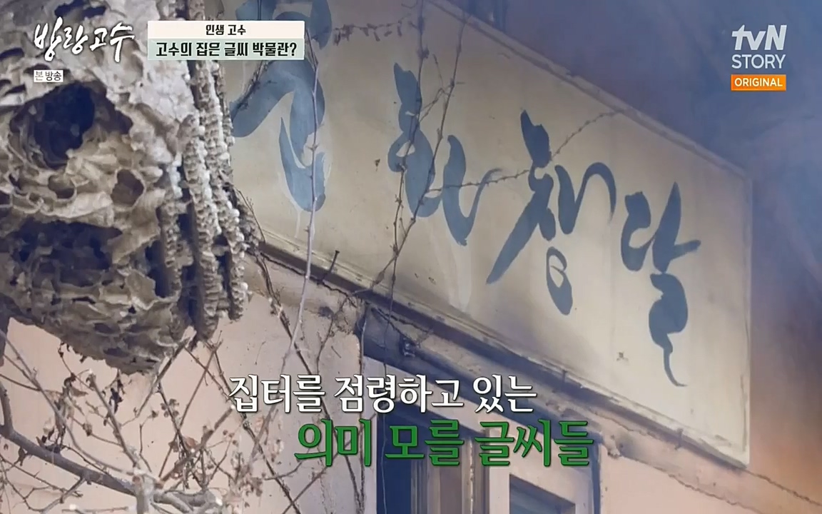 방랑고수.E03.220413p-NEXT.mp4_20220413_183834.004.jpg
