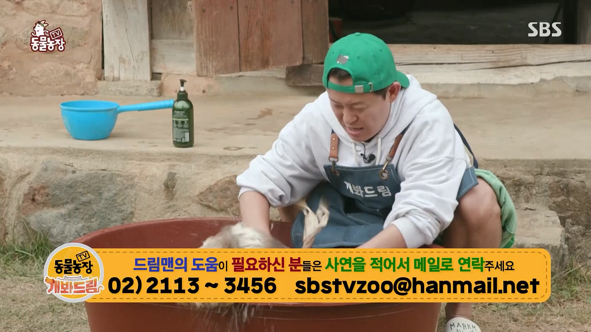 TV 동물농장.E1103.230108p.H264-F1RST.mp4_20230108_174654.009.jpg