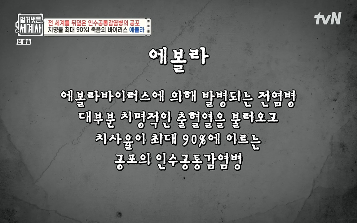 벌거벗은 세계사.E59.220810p-NEXT.mp4_20220810_204508.021.jpg