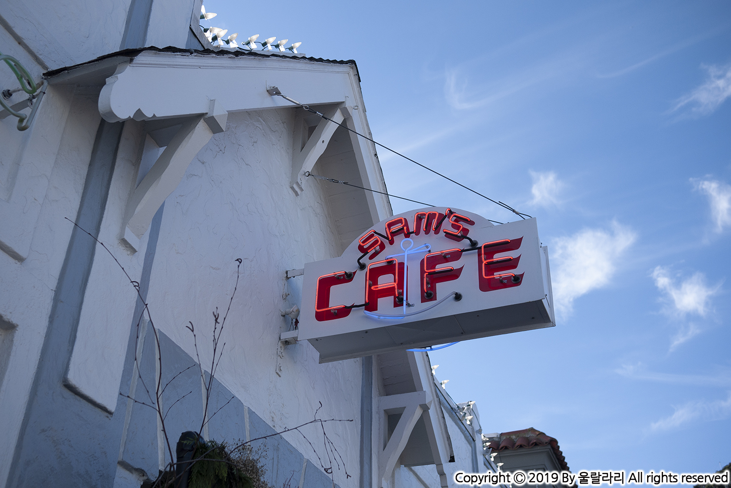 샌프란시스코 티뷰론 맛집 샘스 앵커 카페 SAM'S ANCHOR CAFE와 러스틱 베이커리 RUSTIC BAKERY