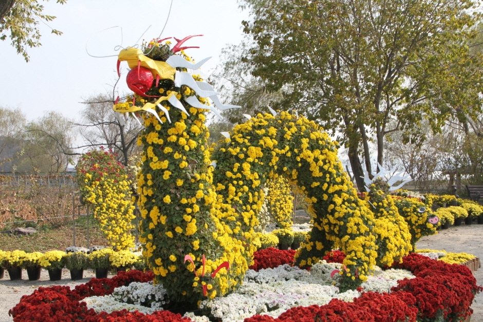 백제고도 부여국화축제