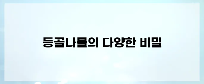 등골나물 효능, 부작용 및 먹는법