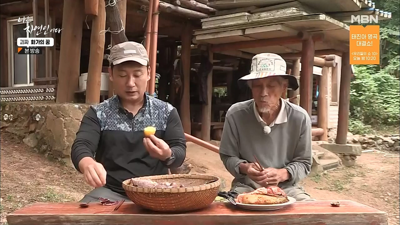 나는 자연인이다.E524.221019.H265p-BULDU.mp4_20221020_174028.303.jpg