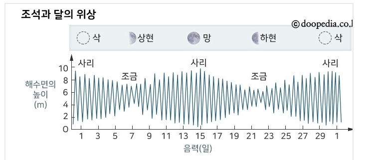 백중사리